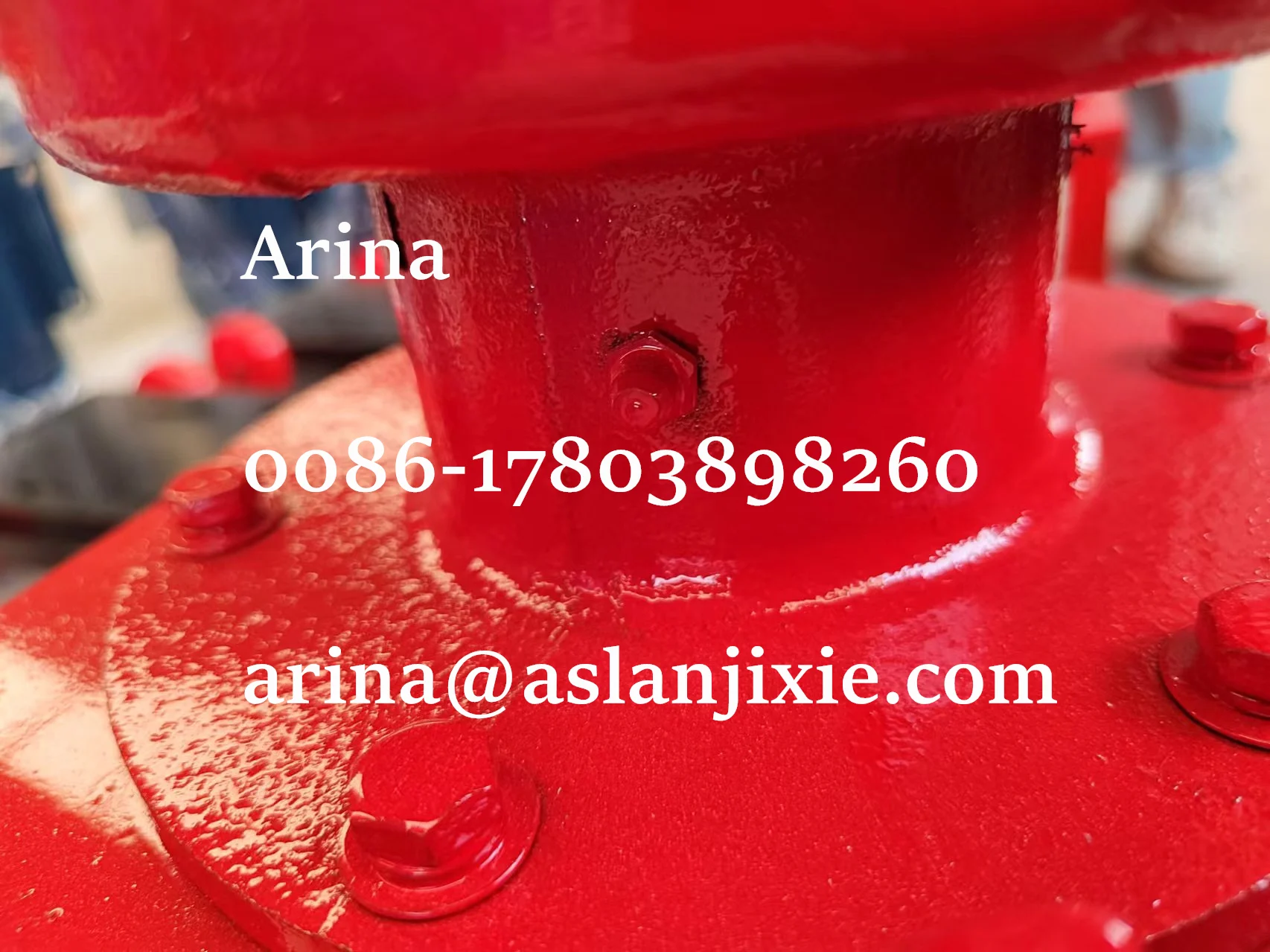 Low price animal pig sheep feed pellet forming machine 80kg feed pellet maker machine