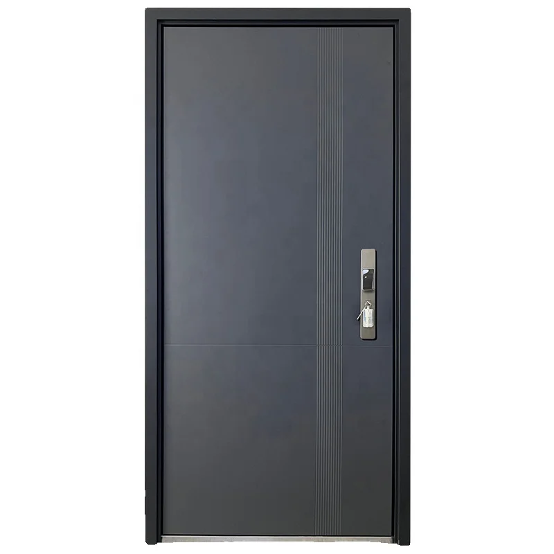 Wholesale new design school home hotel exterior front metal entry security steel door