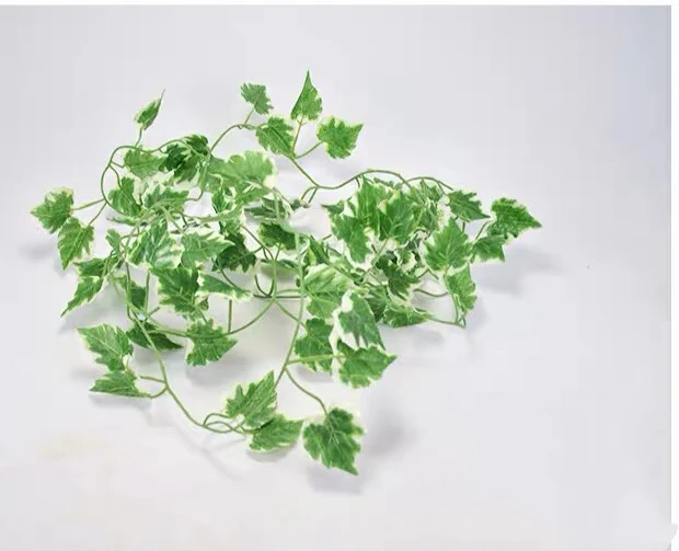 Reptile plant Vines for Climbing, Reptiles Glass Terrarium Decorate Grass Leaf