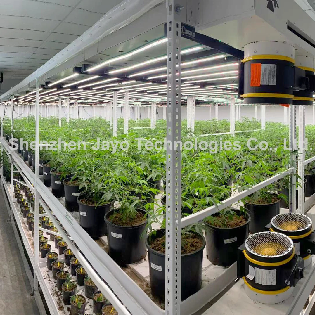 Multil Layer Agriculture Planting Seedbed Flood and Drain High Quality Movable Greenhouse Ebb and Flow Rolling Bench Vertical Gr