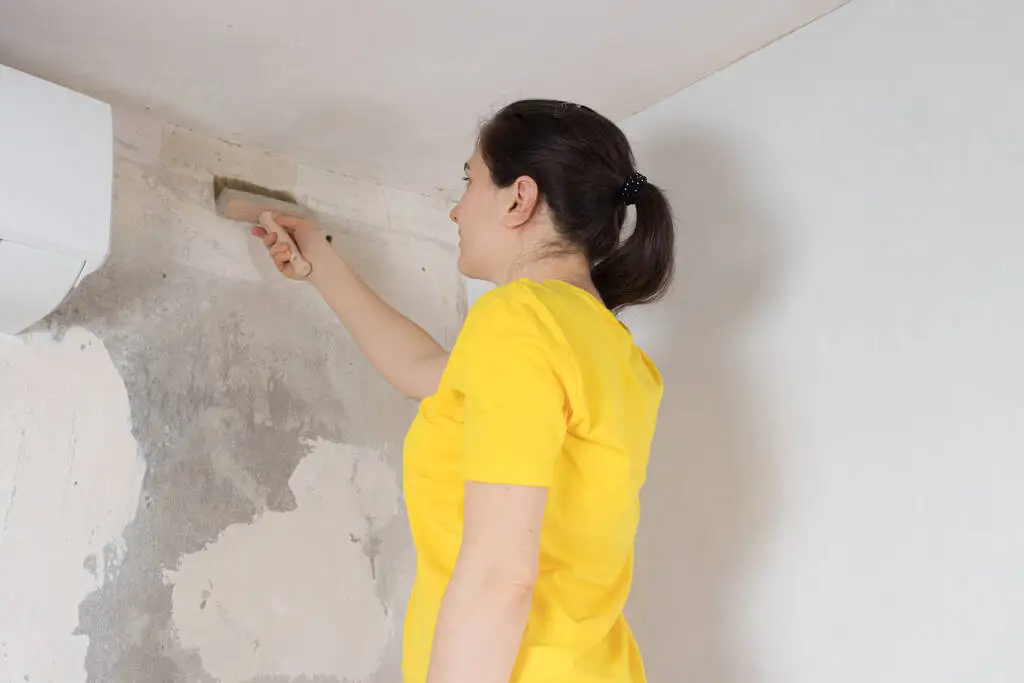 Paint BrushTampico Construction Masonry Brush for Cement Liquid Waterproof