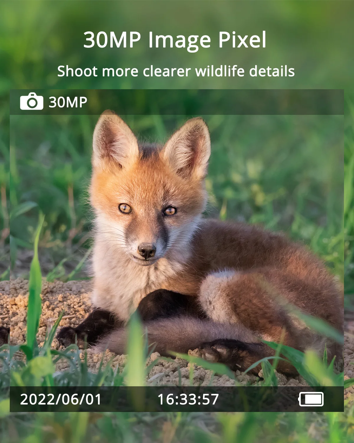 4G Hunting Camera APP Wireless Cellular Trail Camera with  Solar Panel 940nm Infra LEDs