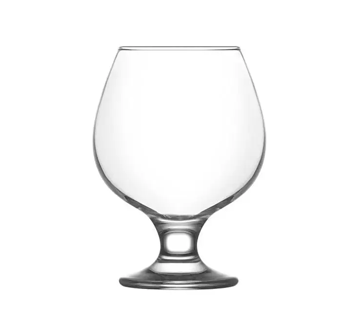 Raymond 390ml Brandy Glasses For Spirits Perfect For Whiskey Bourbon Beer Tasting