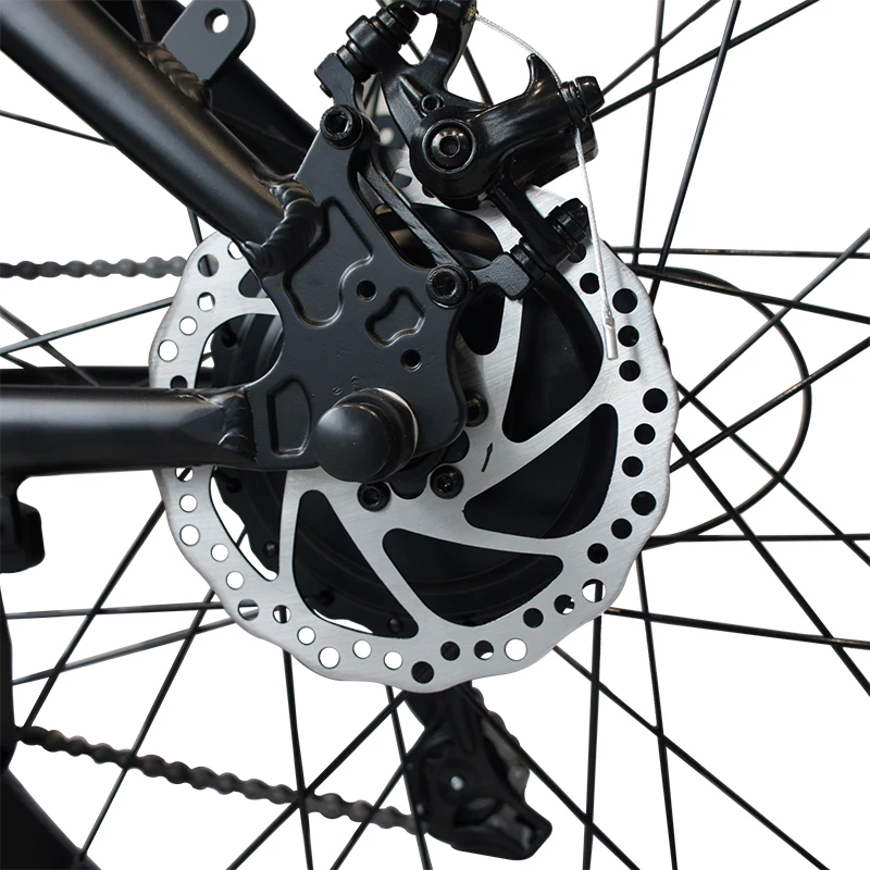 Factory 26inch fat tire 7 speed Mountain 750w 1000w 2000w enduro ebike Aluminum Alloy frame electric bicycle