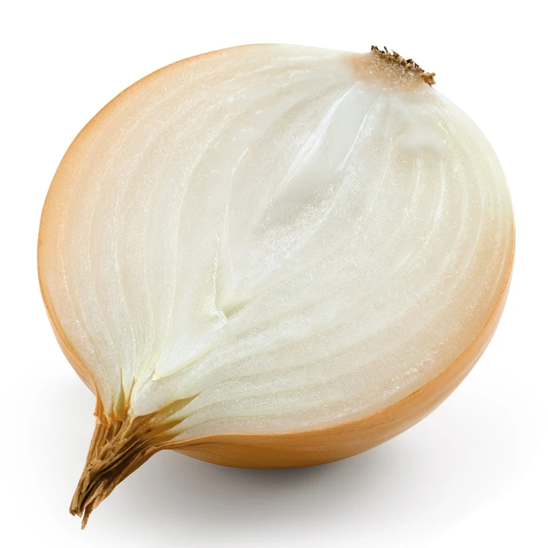 
2020 China Manufacturer Price Onion Onions Fresh 25kg In 