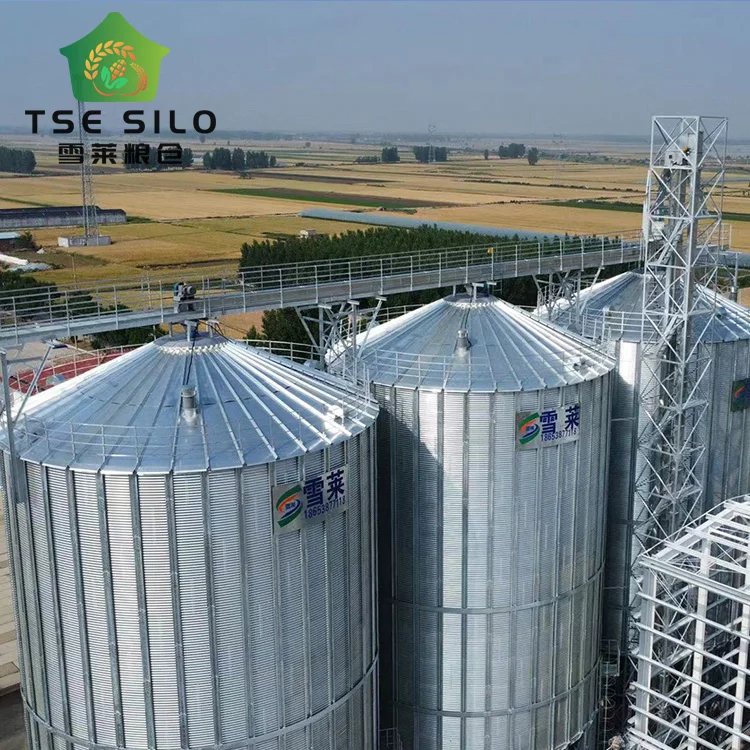 New Design Silo for Feed Mill TCZK 200T 500T 600T 700T Steel Hopper Bottom Soya Silos