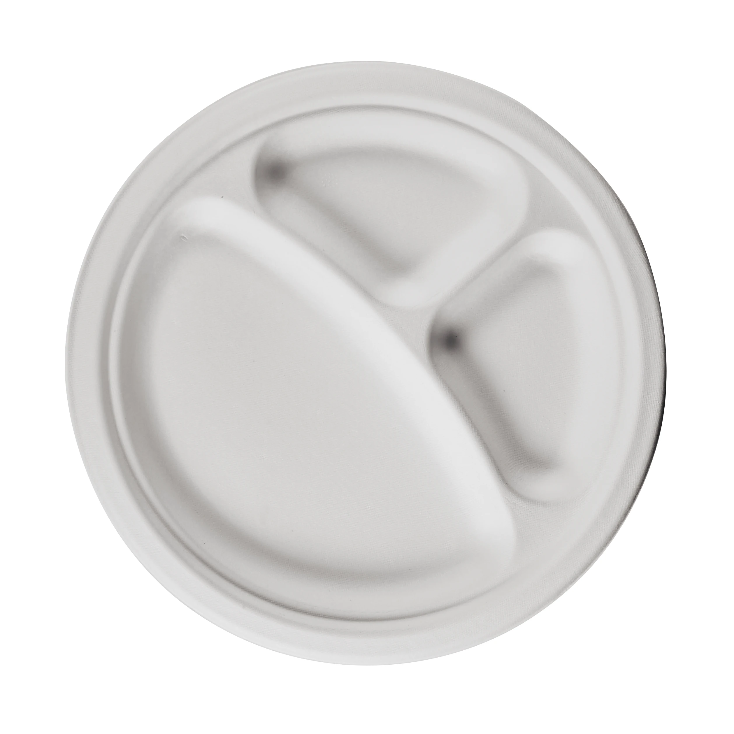 Biodegradable Food Eco-Friendly Natural Paper Take Away Pizza Disposable Paper Plate