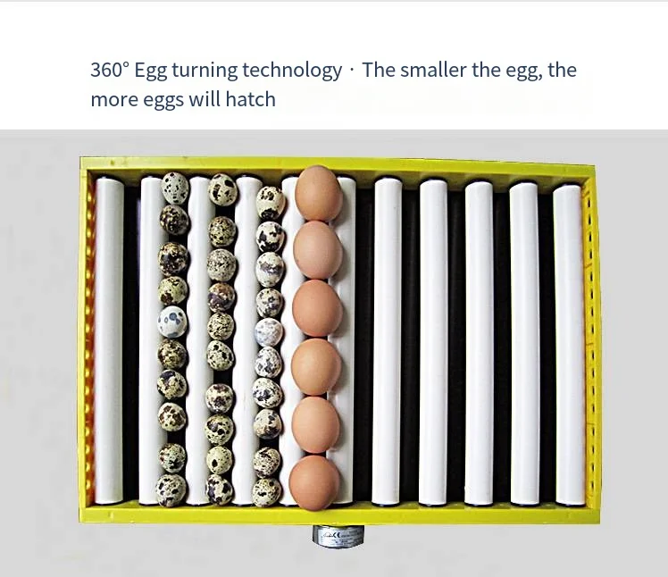 Наружный инкубатор для яиц перепелов по лучшей