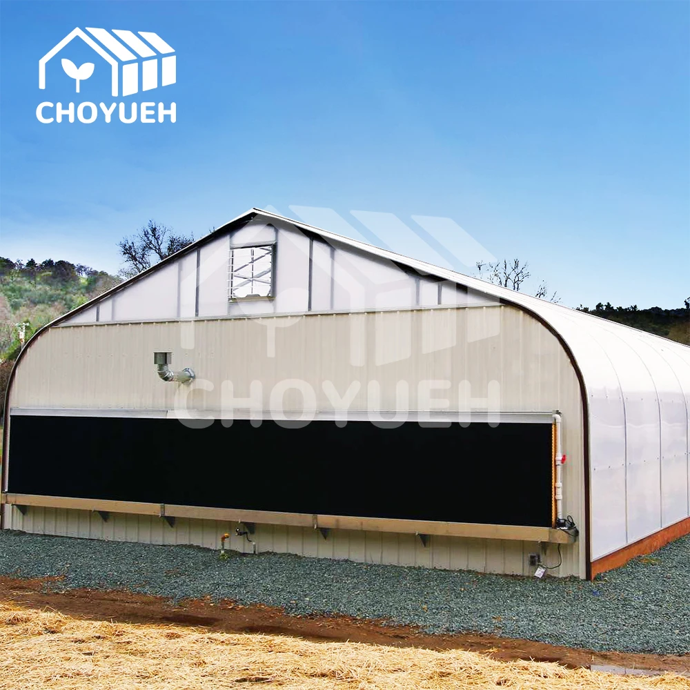 CHOYUEH Customized plastic film light deprivation greenhouse kit with hydroponic system