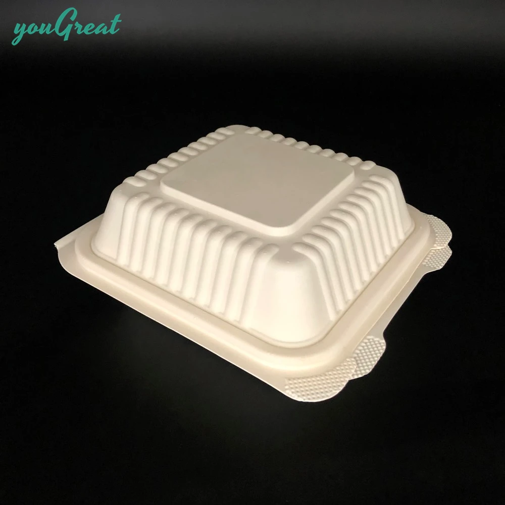 Y15 одноразовые биоразлагаемые compostable сахарного тростника bagasse пищевой контейнер с крышкой оптовая продажа завод поставщика