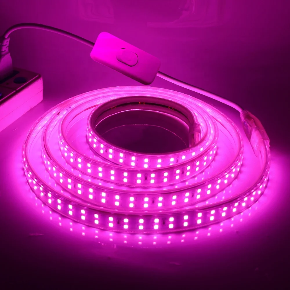 10 Years Factory Supply Free Sample New Design 220V Durable Led Strip 2835 180leds double row 110v