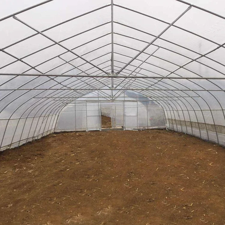 Stocked 8x30 Meter Agricultural Commercial Vegetable  Plastic Film Tunnel Greenhouse For Tomato Rose Mushroom