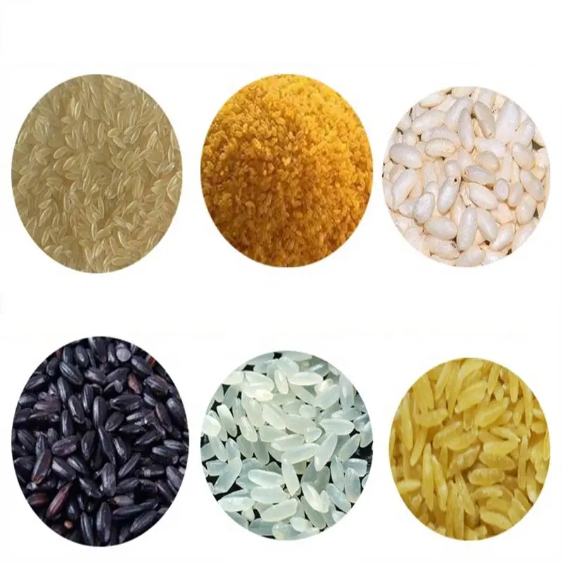Instant Rice Porridge Making Machine Suppliers Reformed Rice Production Line Potato Chips Making Machine Price