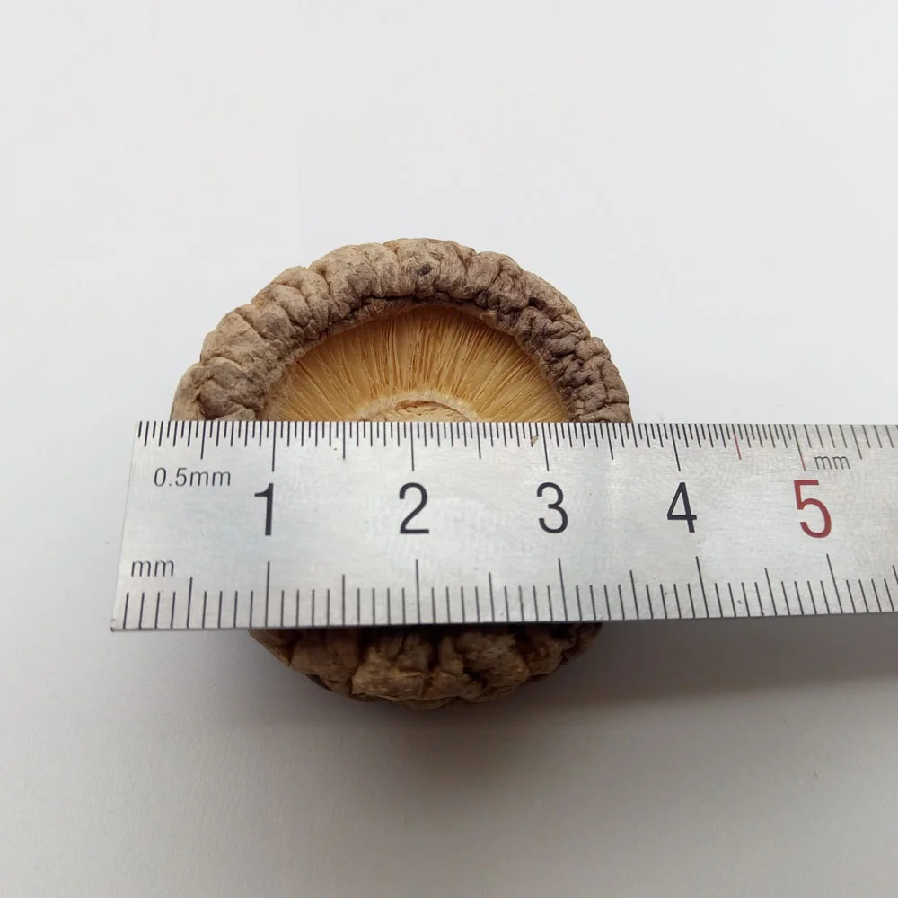 whole sale shiitake mushrooms dried mushroom legs low price china mushroom
