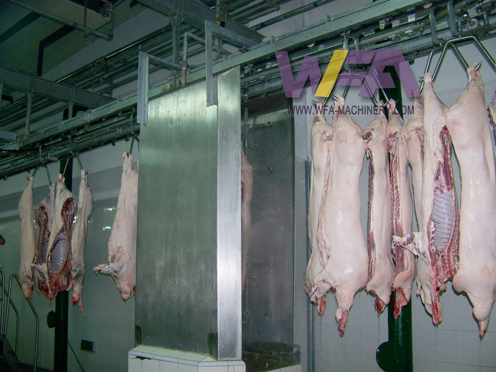 Turnkey Auto Pig Abattoir Machinery Hog Butcher Slaughter House Line With Slaughterhouse Equipment