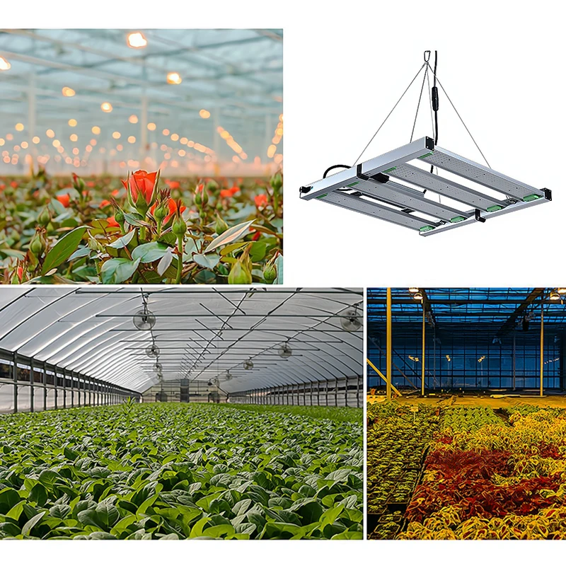 Factory Led Plant Lighting Cover 2ft Footprint 2000w Full Spectrum Led Grow Light LUX China Quantity Silver Luminous Flower