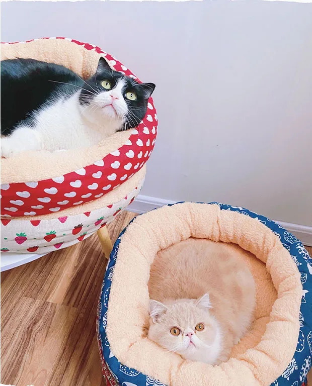 Good Supplier House Dog Hammock Pet Supplies Wholesale customized good quality breathable pet dog bed luxury