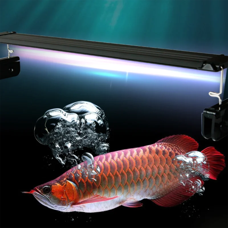 Zaohetian four row stand fish tank lamp WRGB led aquarium light arowana fish tank lamp