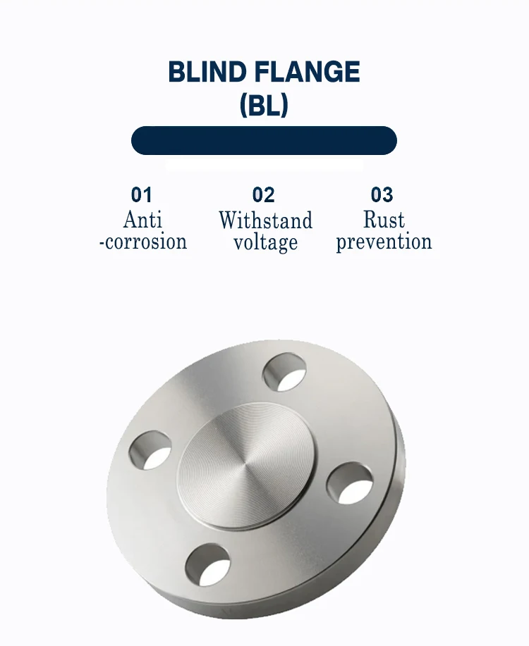 01 Blind flange (BL).jpg