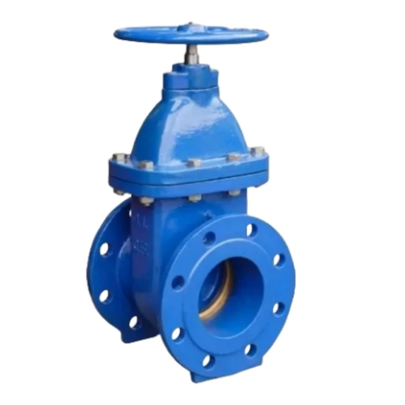 GOST Standard Soft Sealing Cast Iron Gate Valve