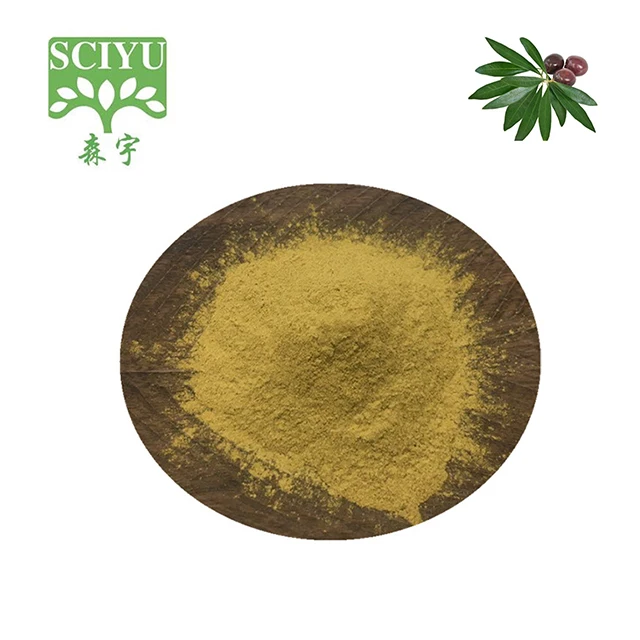 
free sample olive leaf extract 40% oleuropein in bulk 