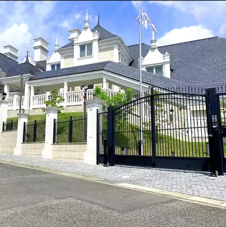 Double Door Iron Gate Garden Courtyard Waterproof Forged Villa Entrance metal Welded Patio gate