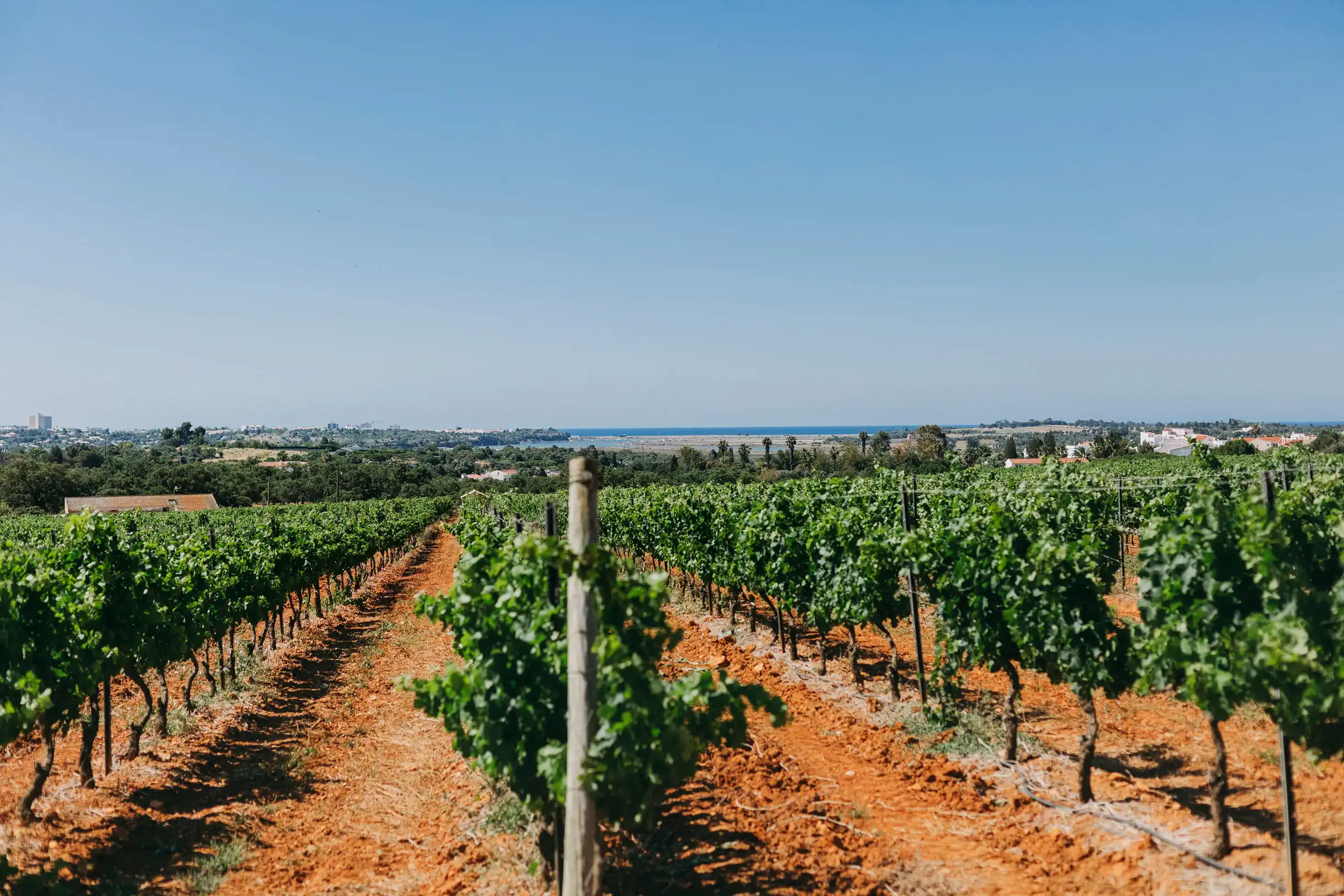Высококачественный подарочный набор Villa Alvor Negra родинка 6x75cl товары для вина алкогольные