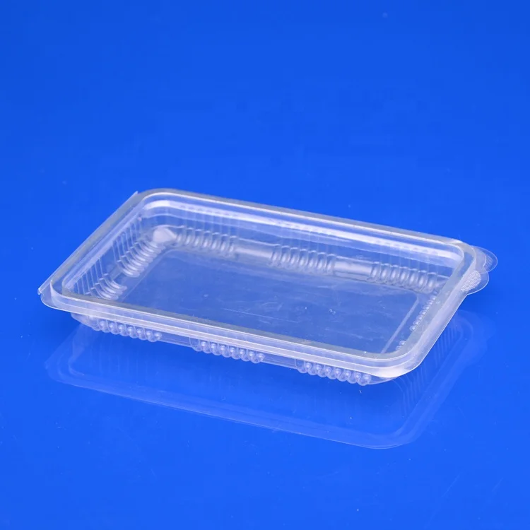 Transparent manufacturers take away clamshell container Custom plastic low height  design food container