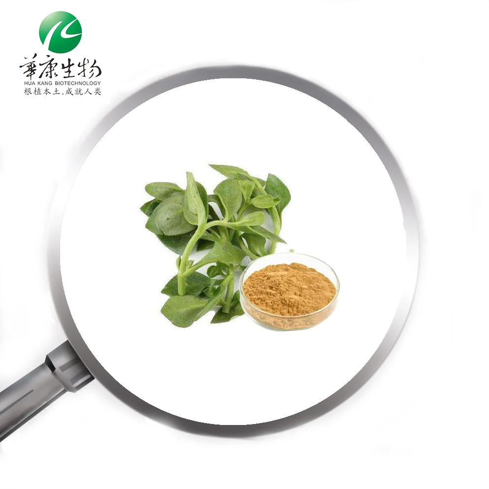 ISO Certified Factory Supply Piper Methysticum Extract Kava Root Extract Kakalactones