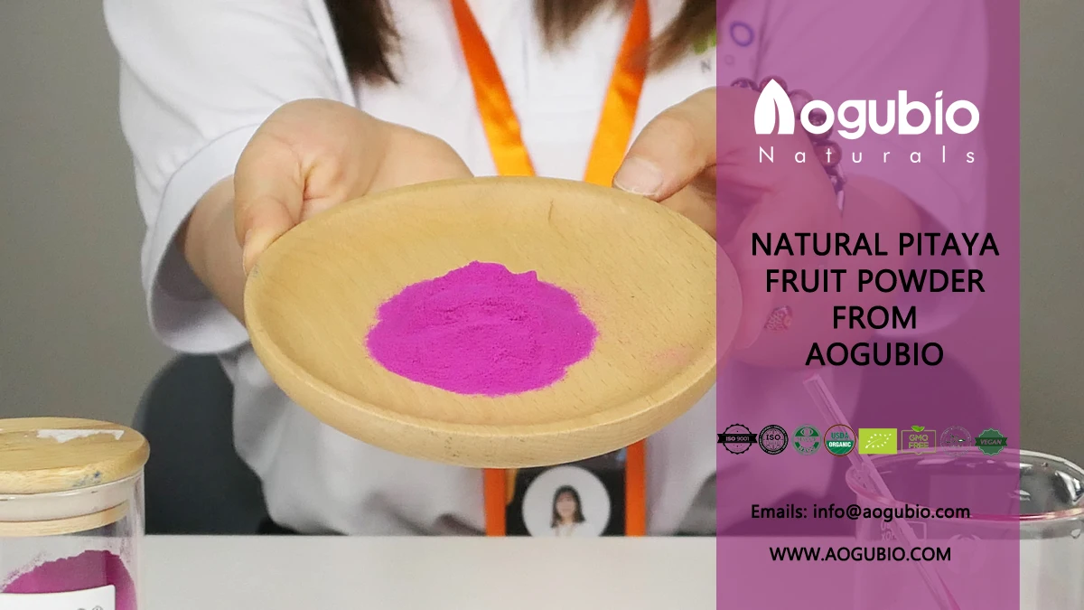 Customized Private Label Organic Freeze Dried Red Pitaya Dragon Fruit