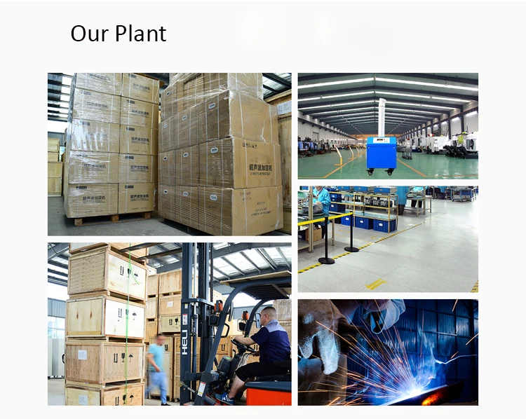 our plant.jpg