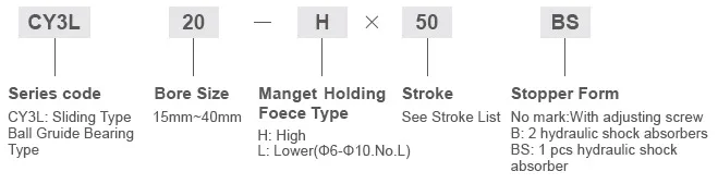 1CY3L-ORDER CODE.jpg