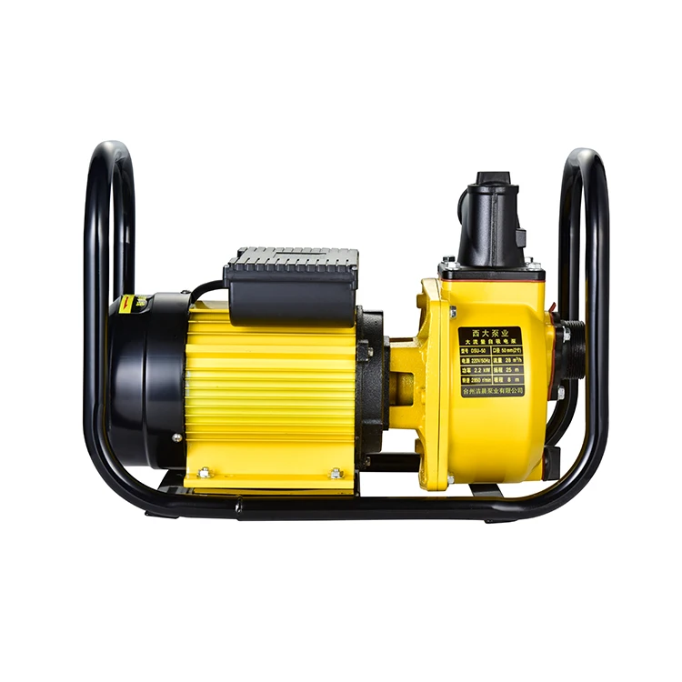 220V/380V 50Hz 3Hp Water Jet Pond Centrifugal Irrigation Agricultural Electric Auto Water Pump