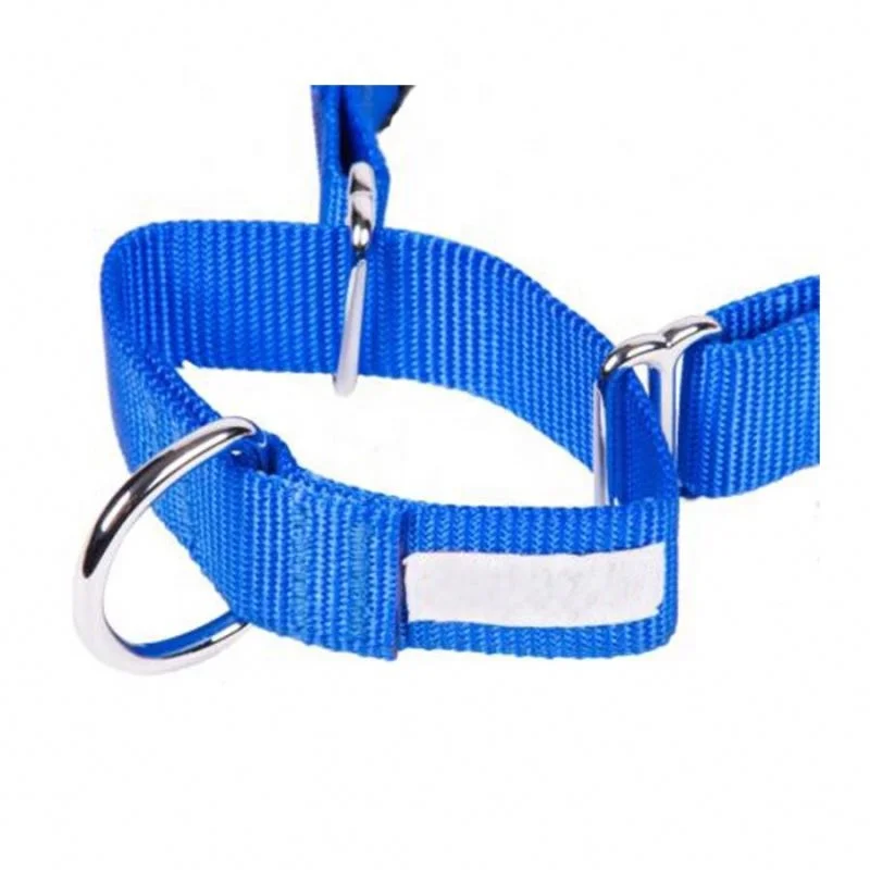 Best Selling Martingale Dog Collar BREAKAWAY COLLARS Personalized Nylon Quick Release with Excellent Quality All Seasons Stocked