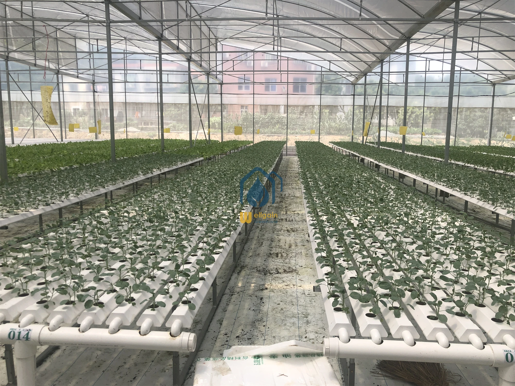 wholesale 100*50 hydroponic rectangular pvc tube / pipe