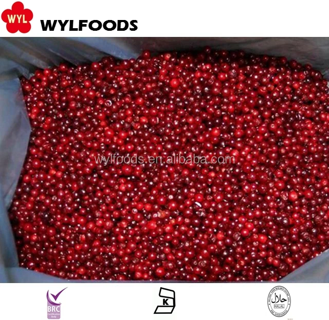 Hot Selling Economical Bulk IQF Frozen Lingonberry High Demand China Frozen Fruits