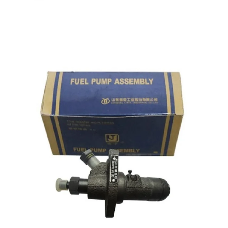 Fuel Pump Injection Assy For R175 ZH1100 Single Cylinder Diesel