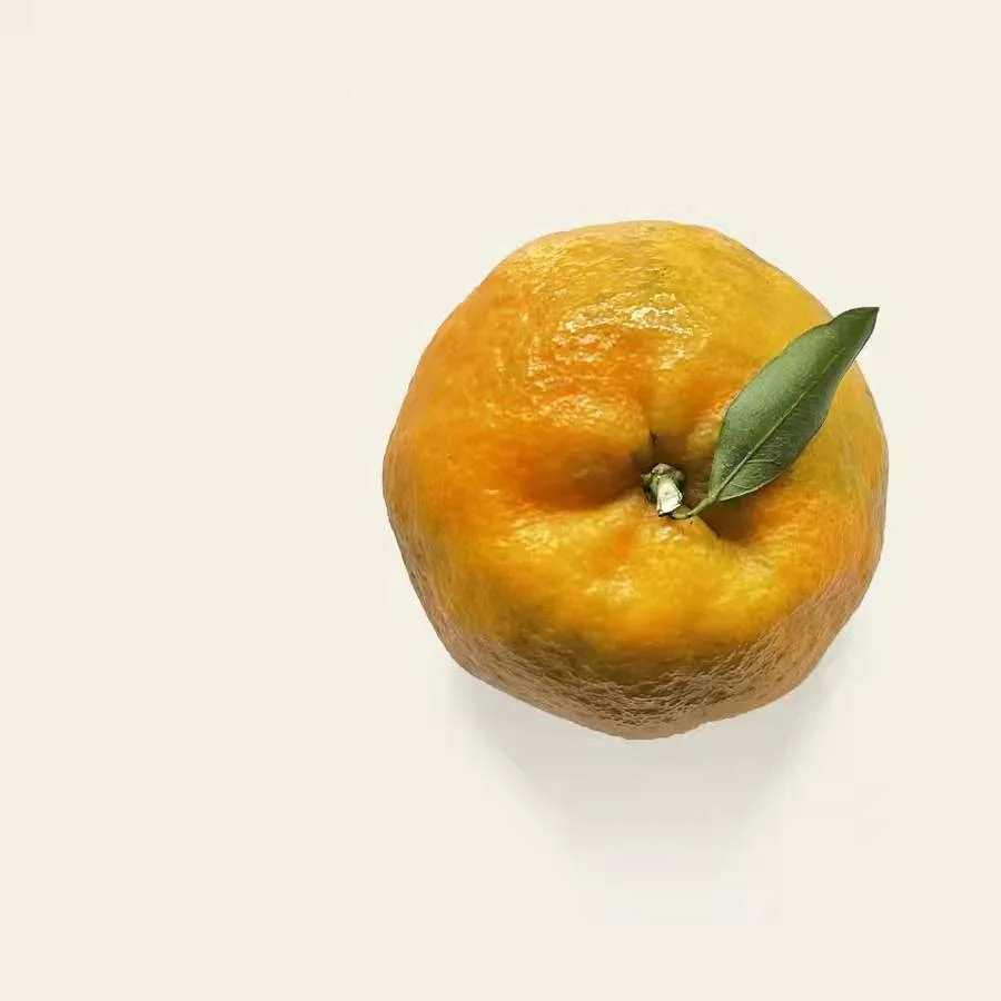 China crop organic fresh mandarin orange fruit citrus orange
