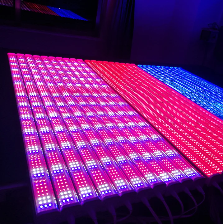 Wholesale High Lumen Full Spectrum  Led Grow Lights For Cucumber Carrot Growing