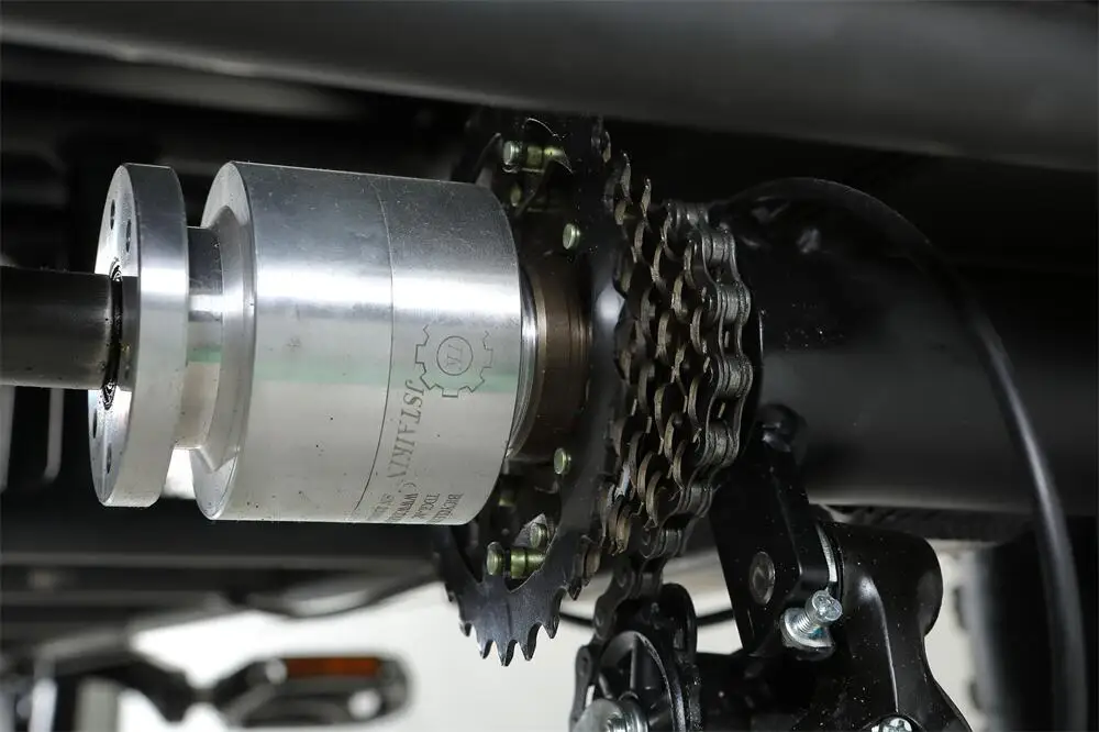 20 Inch Tricicle Electric Trike 750W Motor Fat Tire 3 Wheel E Bike Tricycle