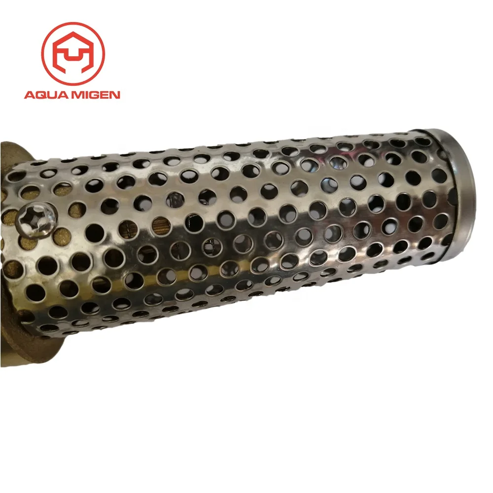 200 PSI 3/4 in FIP BSP/NPT Thread Brass Foot Valve for Jet Well Pumps