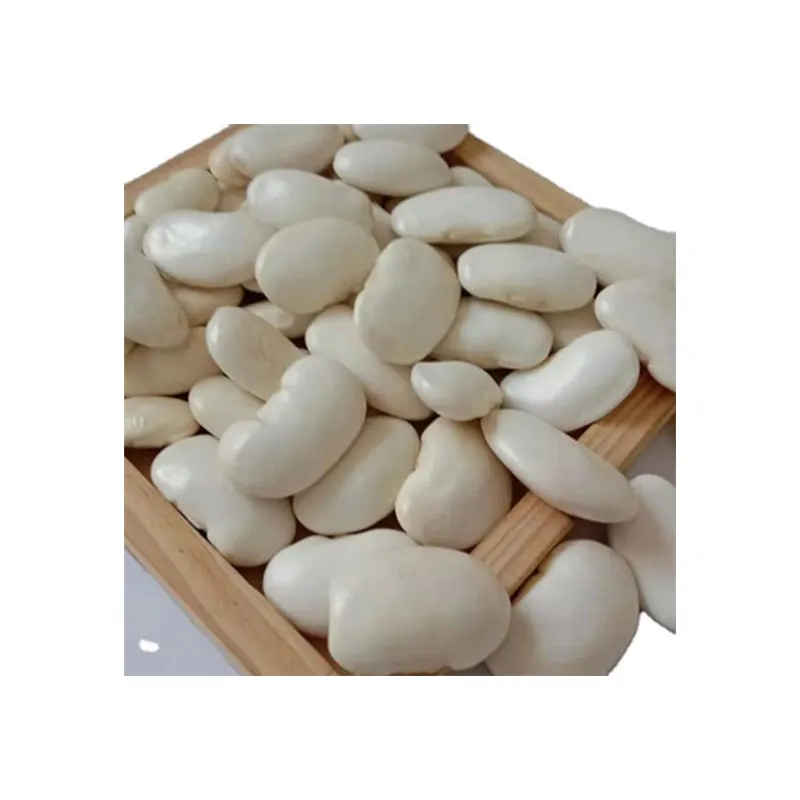 
factory whole sale best selling large Yunnan 2020 crop dried white kidney beans 
