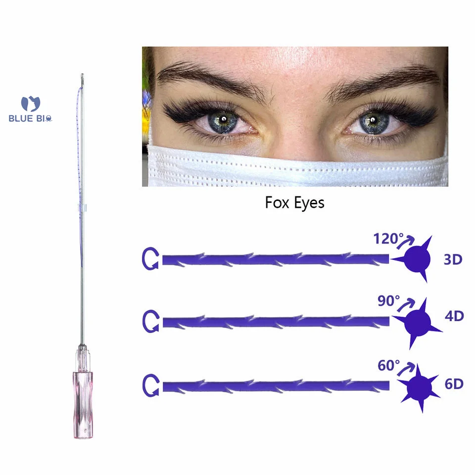 Wholesales Face Body Fox Eye Lift 3D 4D 6D Blunt Cannula Hilos Tenosres Face Lifting Pdo Cog Lifting Thread