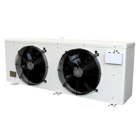DD100 Air cooler Evaporator for cold room storage of meat,fish and other frozen foods