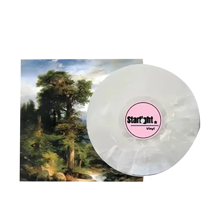 Best Quality 12 Inch Colored Vinyl Lp Disc Record Pressing Printing With Single Jacket