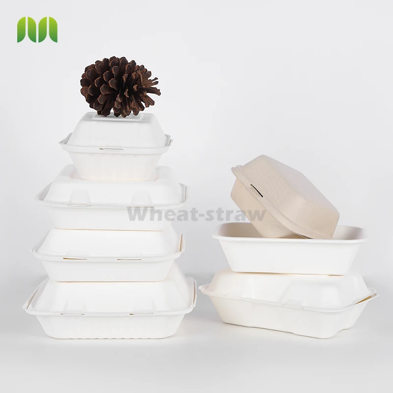 Biodegradable Sugarcane Takeaway Take Out Fast Food Packaging Box Food Containers Biodegradable Packaging