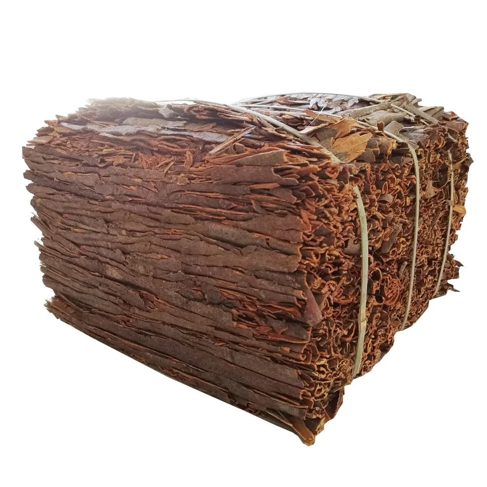 Original Supplier Wholesale Price Cassia Whole Pressed Cassia