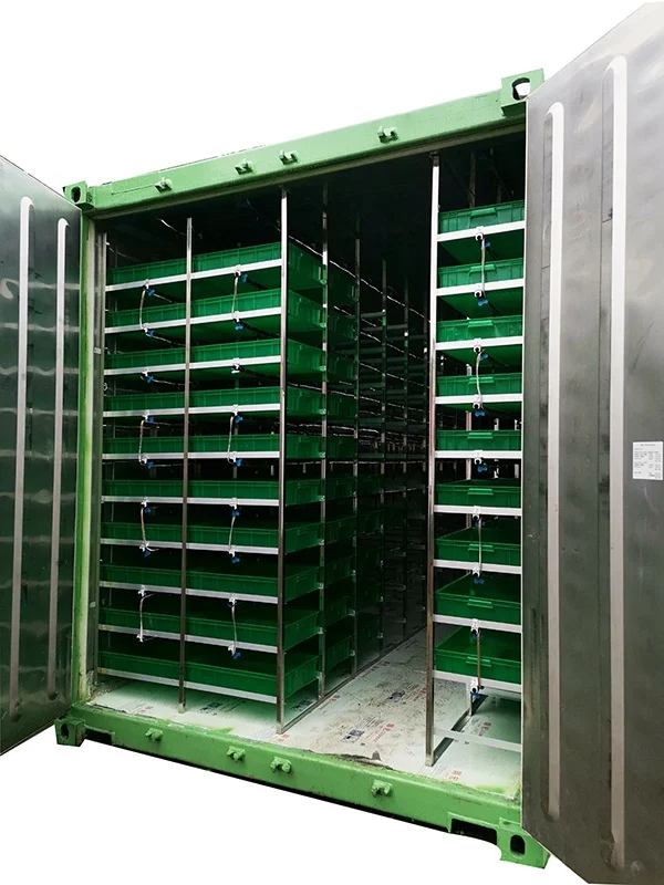 100kg Per Day Automatic Barley Fodder Sprouting Machine | Hydroponic Seed Germination Systems