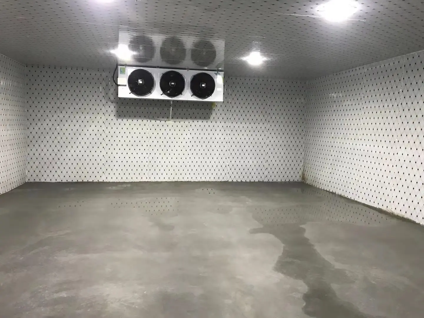 Hot Selling Mobile Movable Portable Cold Room Cherry Cold Storage Cooler Walk in Cold Storage Room For Fresh Fruit