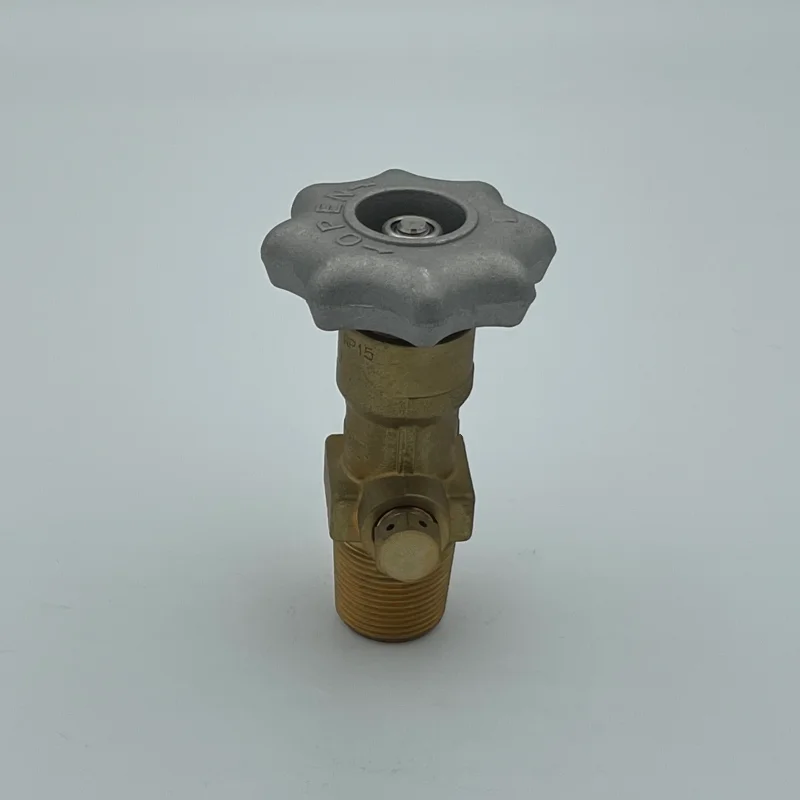 2023 High Pressure CO2 Gas Cylinder Handweel Valve Thread W21.8